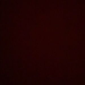 Meet your Posher, Isabel